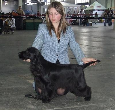 handling (74).jpg